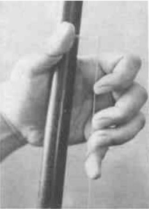Erhu dersi görseli