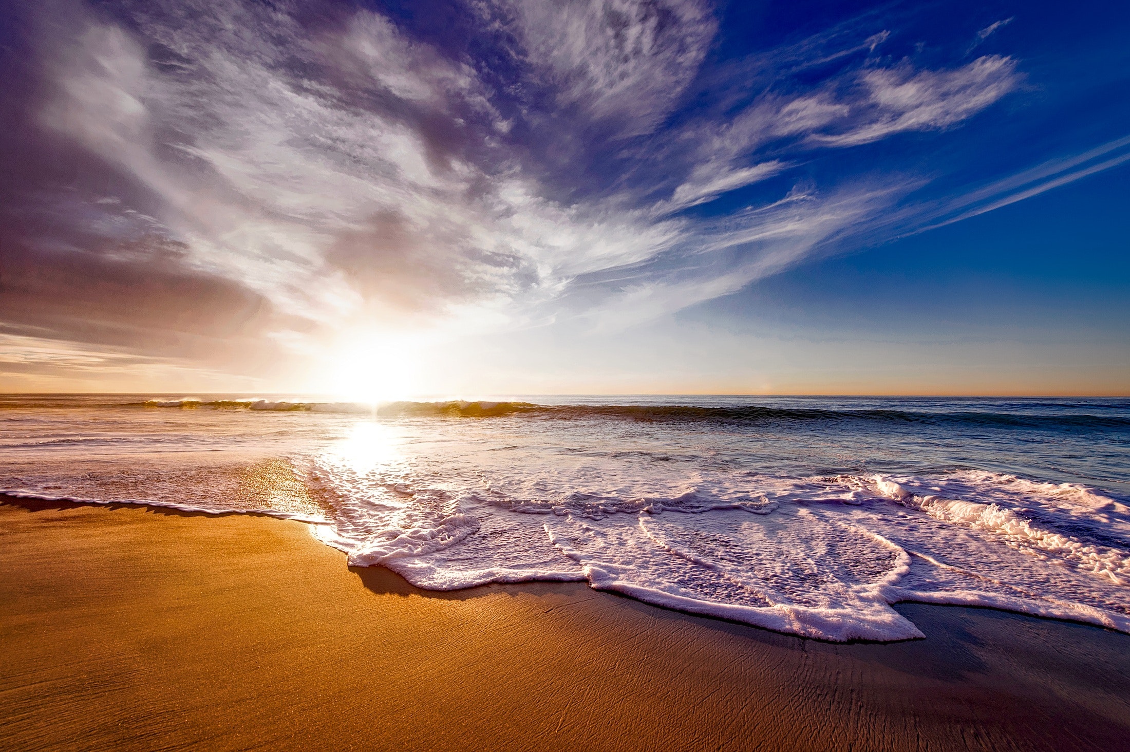 Cover image for A New Beginning